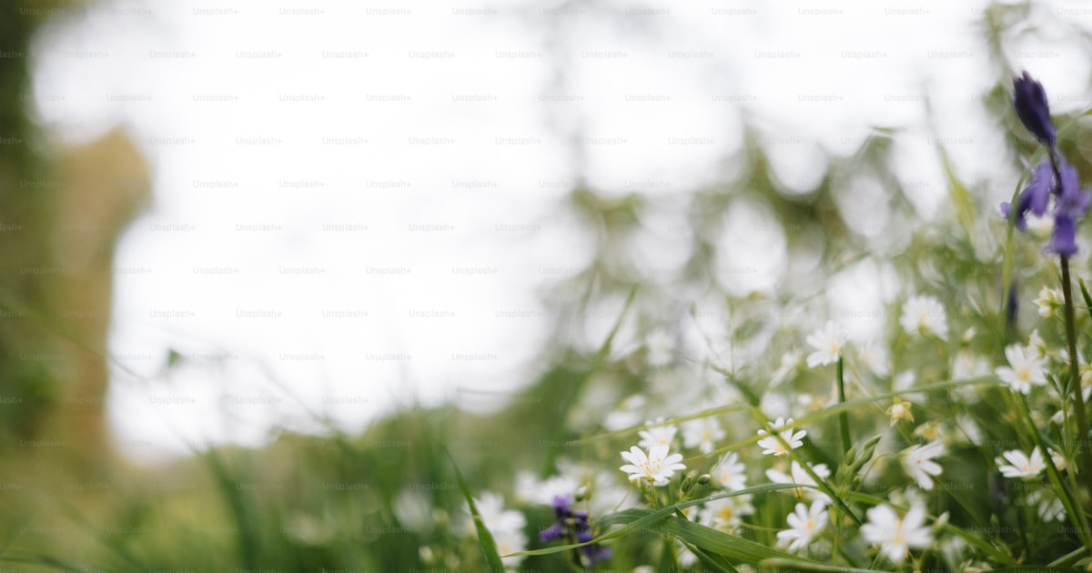 Best Phone Numbers for Funeral Homes