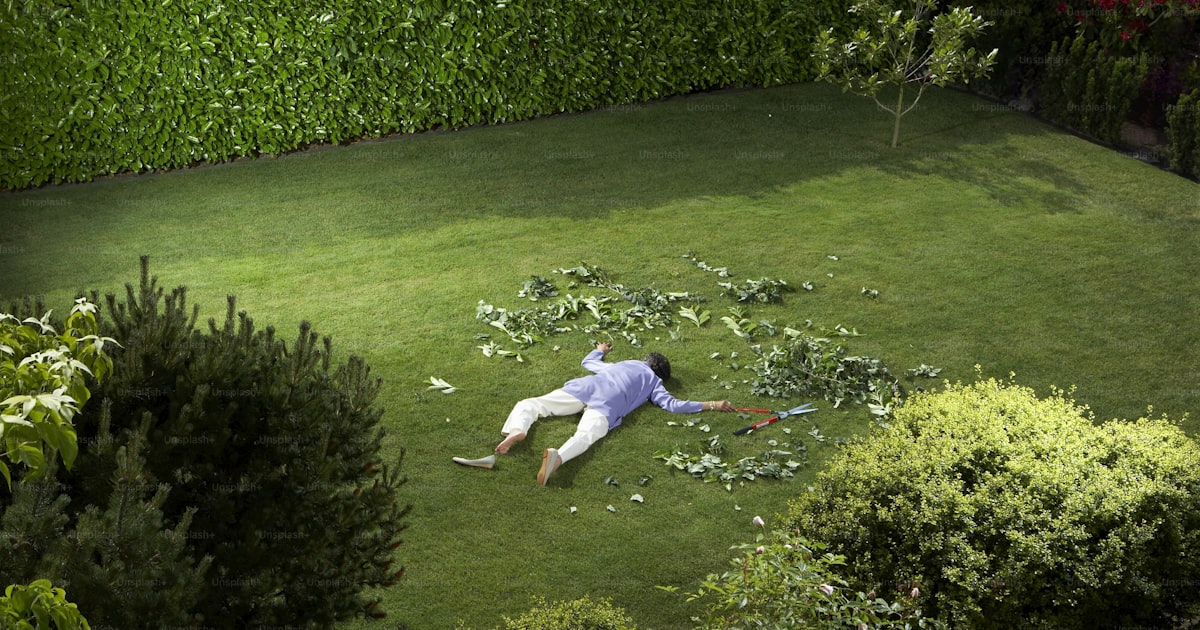 Best Phone Numbers for Landscaping Companies