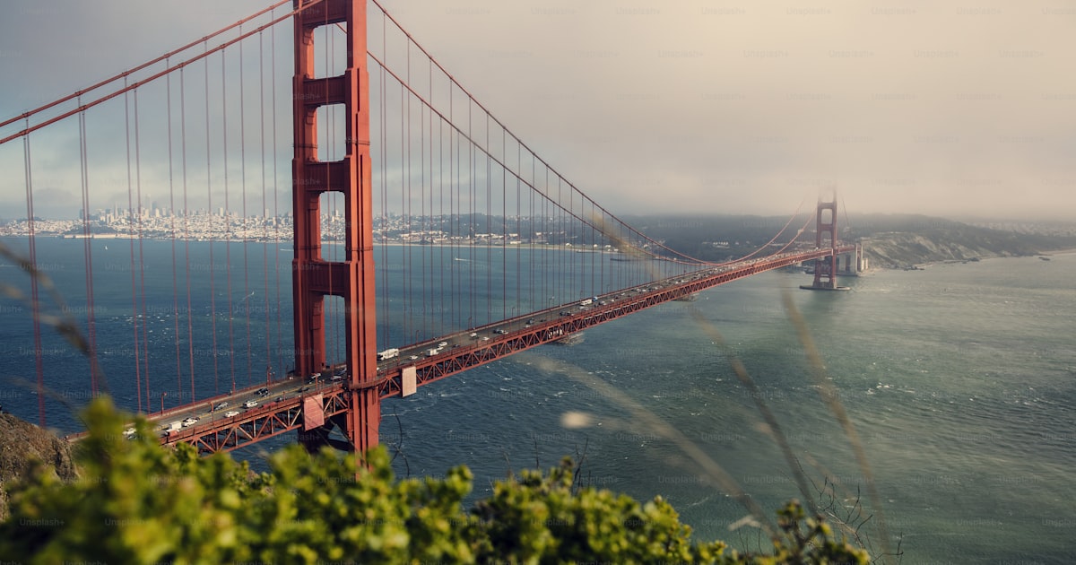 San Francisco Bay Area Codes Guide: 415, 650, 510, 408 & 925
